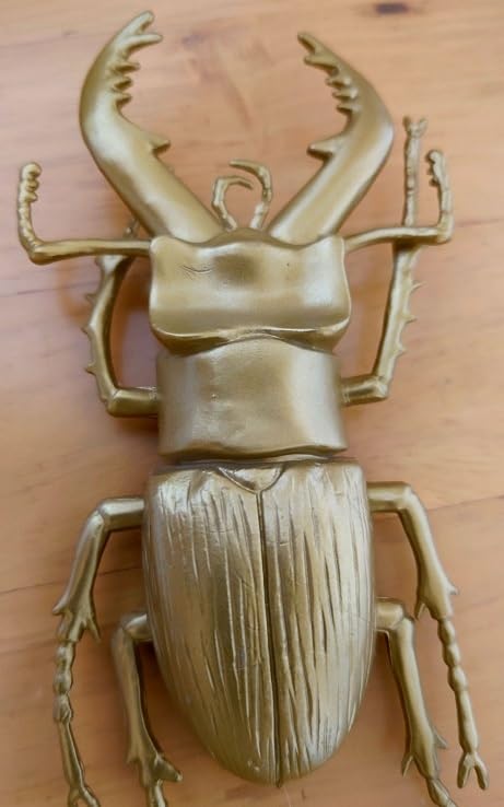 Amazon.co.jp: ミヤマクワガタ 昆虫 フィギュア クワガタ